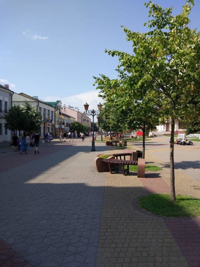 Апартаменты Apartamenti v centre na Sovetskoy Брест-32